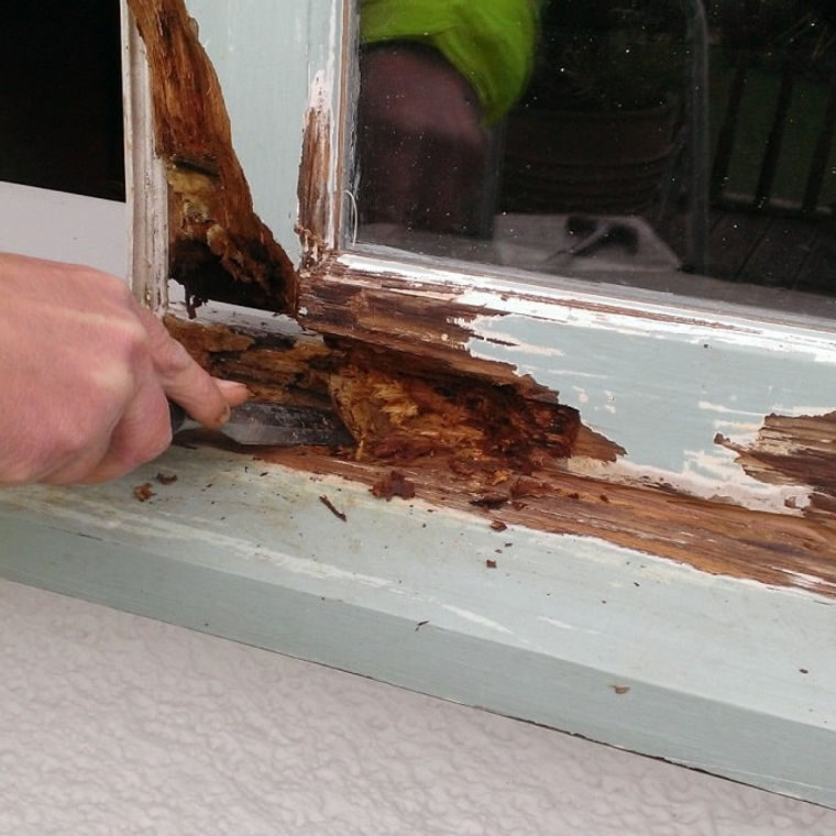 Dry rot